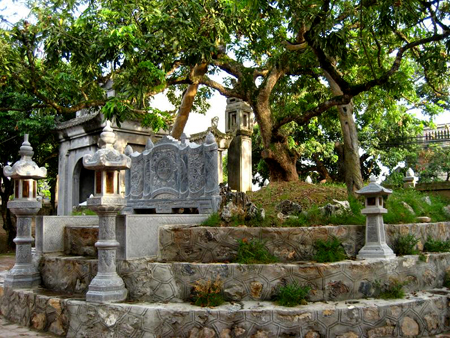 Hưng Yên khẩn cấp bảo vệ nhãn cổ